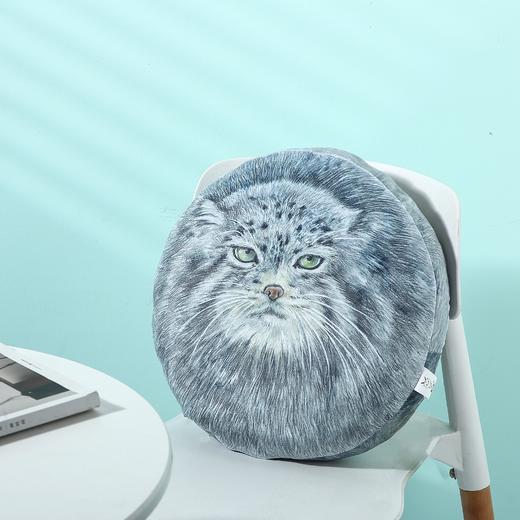 兔狲手绘写实风毛绒抱枕靠垫（升级版） 商品图3