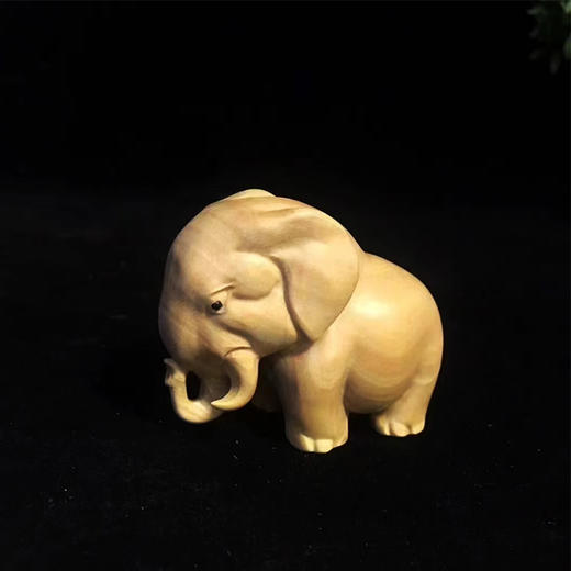 W°非洲三宝 商品图1