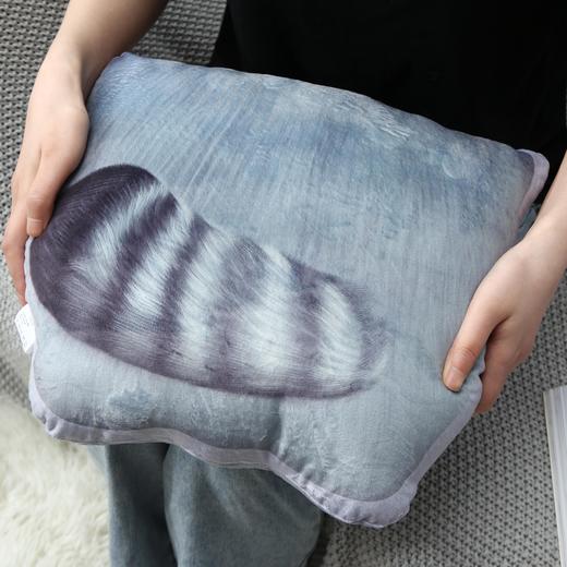 兔狲异形pp棉沙发简约毛绒可拆洗抱枕护腰靠枕 商品图4