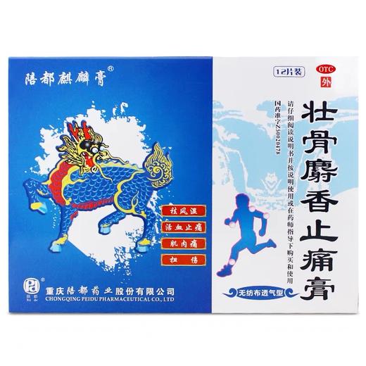 KJ 壮骨麝香止痛膏  6片*2袋(无纺布透气型) 活血止痛 风湿关节痛 扭伤 商品图0