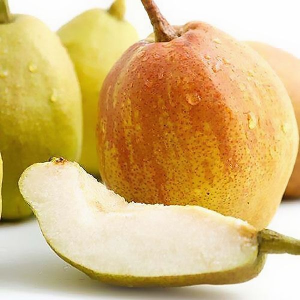 库尔勒香梨王8斤【香梨王单果140g以上】新疆香梨皮薄肉细爆汁