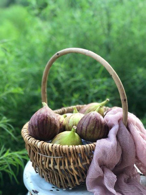 【顺丰空运】海南花香蜜无花果，无污染新鲜无花果，完全自然成熟采摘基地直邮 商品图1