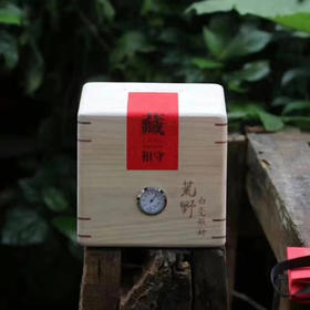 福鼎白茶 | 小城之春 2024年 荒野白毫银针 500g