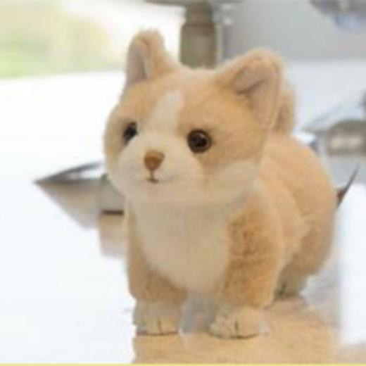 雷克斯25cm 商品图0