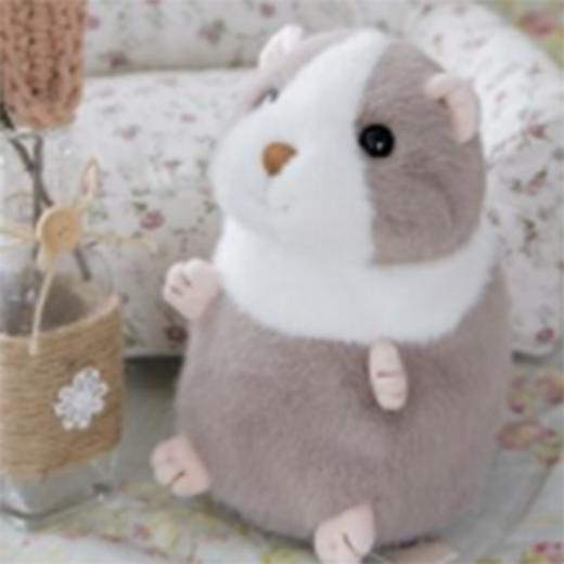 达尔文20cm 商品图0