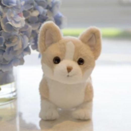 小雷克斯15cm 商品图0