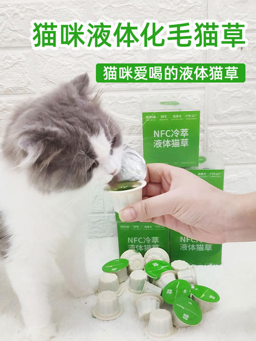 尾巴生活液体猫草幼猫即食成猫吐毛球化毛膏猫咪零食轻化毛200ml 商品图1