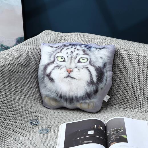 兔狲异形pp棉沙发简约毛绒可拆洗抱枕护腰靠枕 商品图3