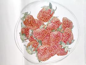 《草莓》：它太像真的草莓了，我想吃一口” 甜豆说