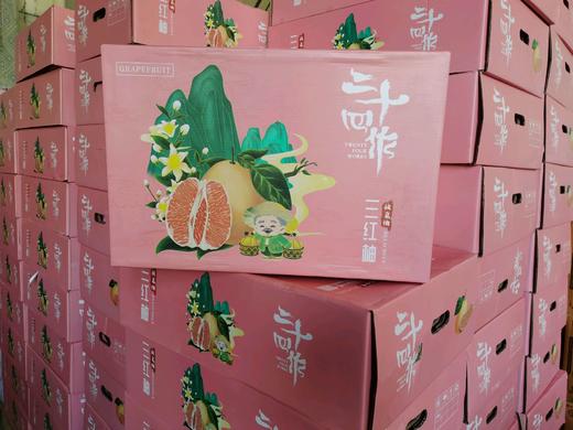 三红柚礼盒装 商品图0