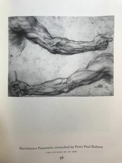 鲁本斯时代的佛兰芒派绘画 76幅插图 精装8开 商品图14