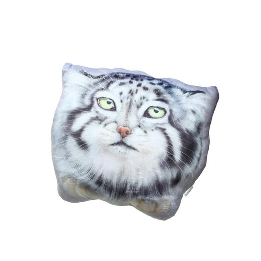 兔狲异形pp棉沙发简约毛绒可拆洗抱枕护腰靠枕 商品图2