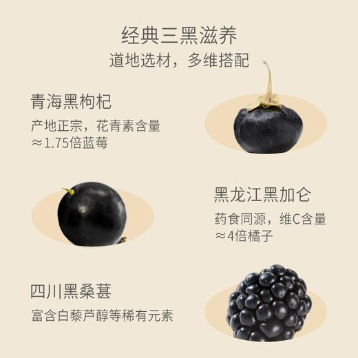 贡植堂GONGZHITANG 黑杞原浆桑葚饮 商品图3