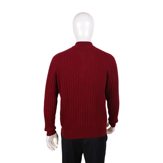 珍贝半高领男拉链衫11209 商品图1