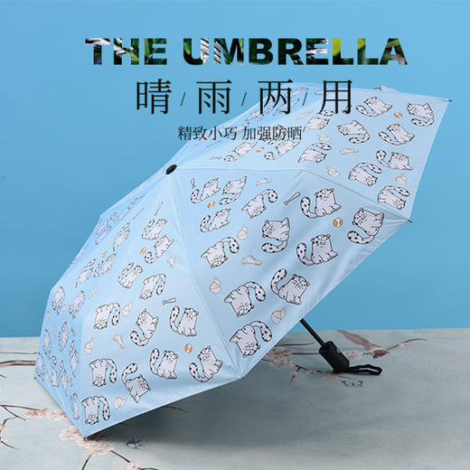 雪豹卡通黑胶全自动折叠浅蓝色小清新三折晴雨伞 商品图0