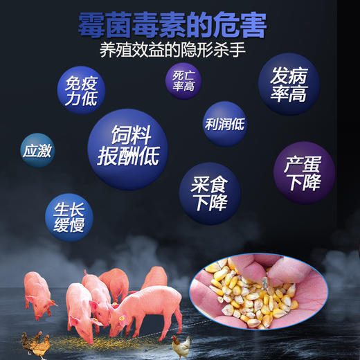 【霉克清】禽用鸡鸭鹅脱霉解毒抗应激保肝护肠补充营养水溶性脱霉解毒剂500g/袋 商品图4