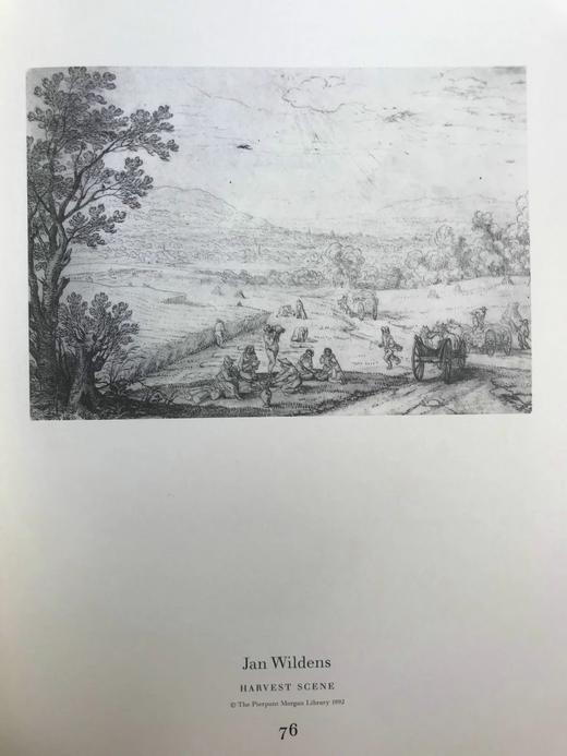 鲁本斯时代的佛兰芒派绘画 76幅插图 精装8开 商品图5