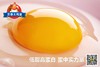 七木格苁蓉溏心鸡蛋30枚 商品缩略图1