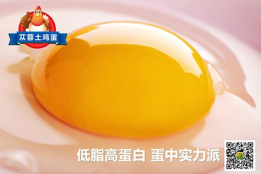 七木格苁蓉溏心鸡蛋30枚 商品图1