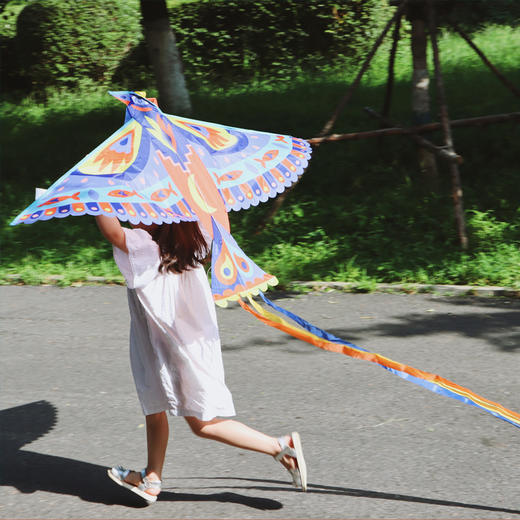 DJECO儿童户外用品轻巧安全飞盘/风筝（选组合需留言备注） 商品图7