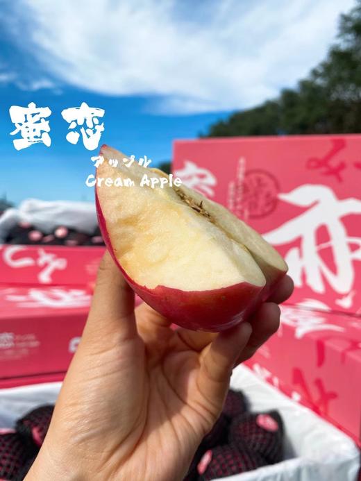 【云南蜜恋苹果礼盒】约6.5斤/箱，脆甜口 商品图2
