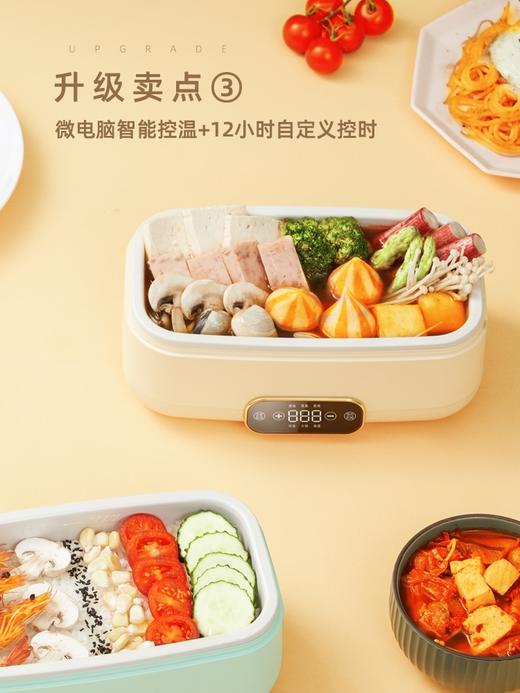 鲜纯  迷你多功能料理锅  DDZ-F10B高配版 商品图3