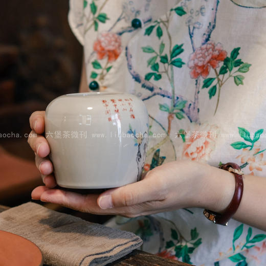 【精品珍藏】2003年 金花六堡茶 （100g、250g、特级）六堡聚私房茶 商品图4