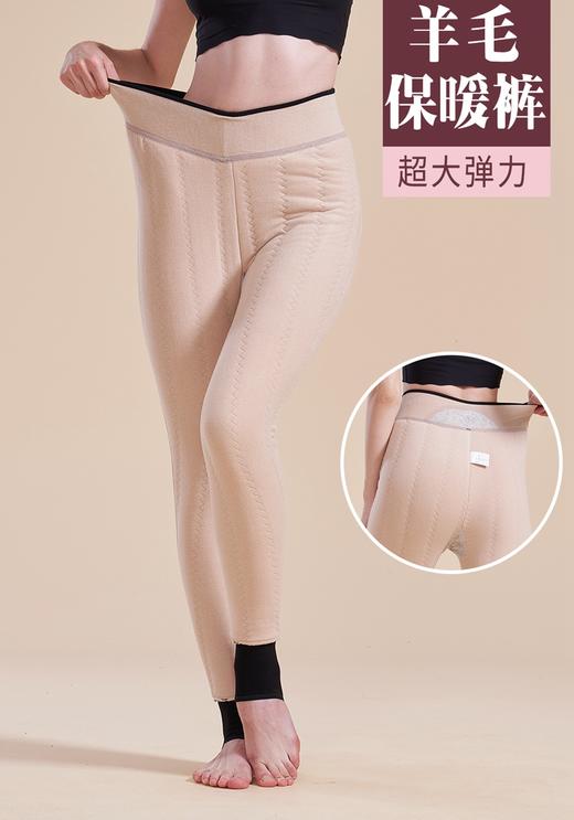 650g女士加厚大版变态厚小绵羊羊毛聚暖复合裤保暖裤5185/5186 商品图1