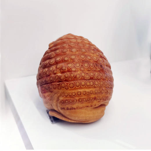 W°满钉金蟾（大） 商品图3