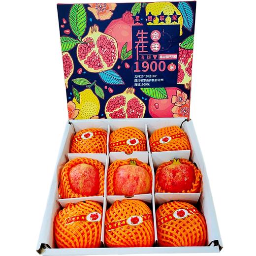 【突尼斯软籽石榴】9颗礼盒装 单果约400-500g颗 每一粒石榴都非常饱满，色泽均衡，粉嫩透亮的石榴粒像一颗颗红宝石 商品图1