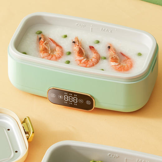 鲜纯  迷你多功能料理锅  DDZ-F10B高配版 商品图1