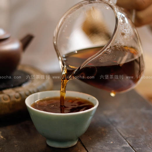 2010年 老树槟榔香 (甜糯细滑，气韵丰富多变，500g) 六堡聚私房茶 商品图1