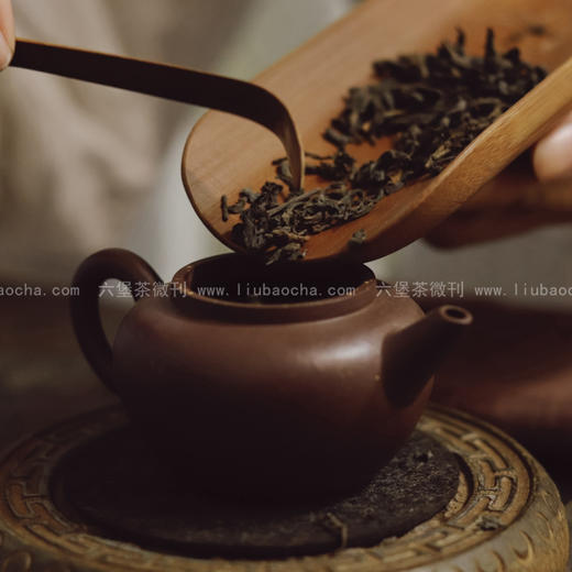 2010年 老树槟榔香 (甜糯细滑，气韵丰富多变，500g) 六堡聚私房茶 商品图3