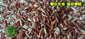  七不红米水稻9月11日上市现货销售