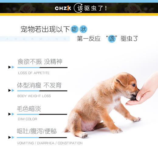 新宠之康 新宠之康吡喹酮片-6片装 商品图4