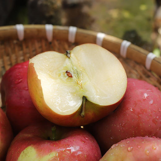 云南昭通丑苹果  汁水丰富  酸甜清脆   不催熟 不打腊 坚持原生态种植  口感 脆爽多汁每一口都是浓郁的幸福，天然造就好味道！ 商品图6