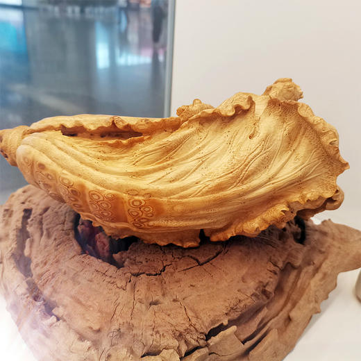 W°竹根白菜大 商品图2