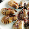 野生东山岛海虾| 合作生产 * Wild Dongshan Island Shrimps | Coproduction 商品缩略图2