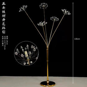 五头铁树开花路引【运费自理】