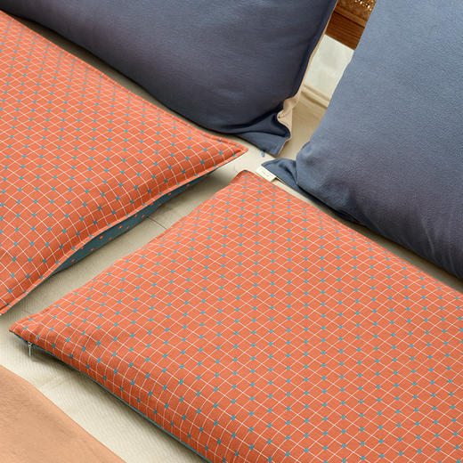 瑞士十字系列双面双色荞麦枕头 商品图2