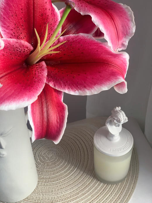 黑美人百合【你是声色张扬下我欲盖弥彰的温柔理想】简小姐精选香水百合 狐尾花瓣 A级 黑美人5枝多头 2束包邮 下单5天发货 商品图8