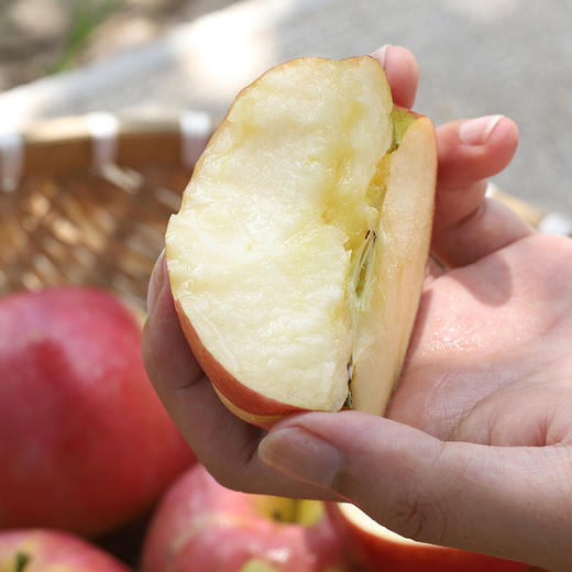 云南昭通丑苹果  汁水丰富  酸甜清脆   不催熟 不打腊 坚持原生态种植  口感 脆爽多汁每一口都是浓郁的幸福，天然造就好味道！ 商品图4