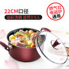 炊大皇 汤锅 不粘锅22cm炖汤煲汤煮奶锅 电磁炉燃气煤气灶明火通用WG14320 商品缩略图0