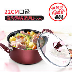 炊大皇 汤锅 不粘锅22cm炖汤煲汤煮奶锅 电磁炉燃气煤气灶明火通用WG14320
