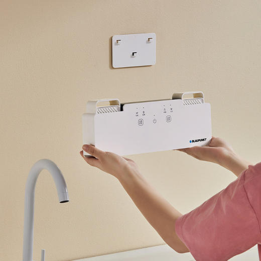 蓝宝果蔬清洗机家用食材净化消毒洗菜器蔬菜去除农药洗肉水果卫士 商品图4