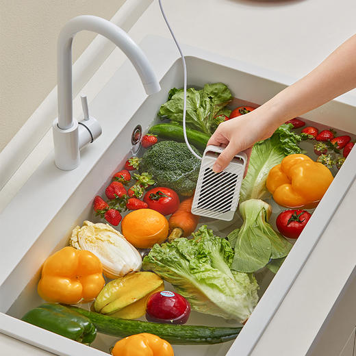 蓝宝果蔬清洗机家用食材净化消毒洗菜器蔬菜去除农药洗肉水果卫士 商品图7