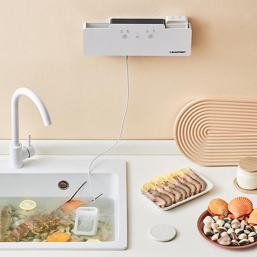 蓝宝果蔬清洗机家用食材净化消毒洗菜器蔬菜去除农药洗肉水果卫士 商品图1