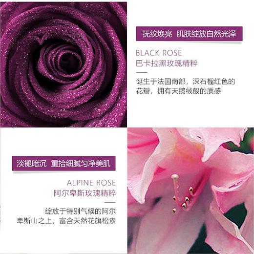 【中欧班列精选】法国 Sisley 希思黎黑玫瑰焕采精华面霜50ml BF 商品图3