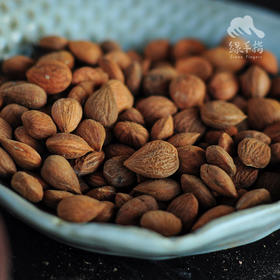 野生北杏仁（苦杏仁） | 合作生产*Wild Bitter Almonds