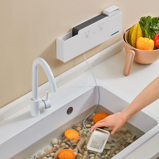 蓝宝果蔬清洗机家用食材净化消毒洗菜器蔬菜去除农药洗肉水果卫士 商品图2